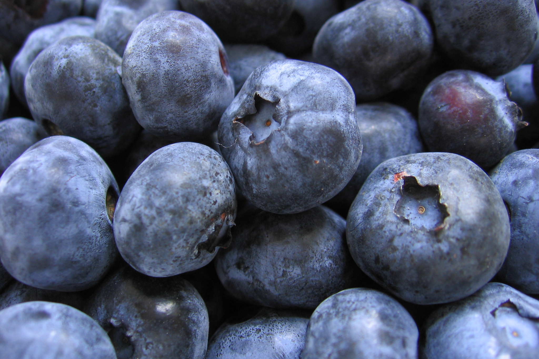 blueberry-health-benefits