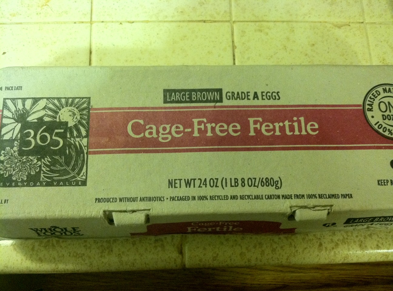 fertile eggs