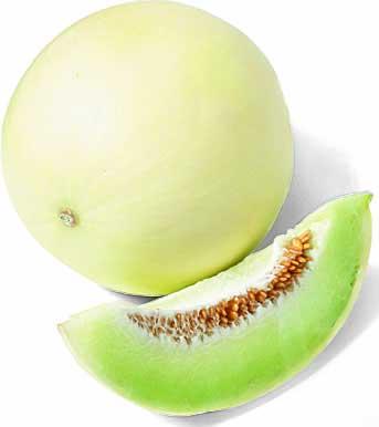 honeydew-melon.20885139_std